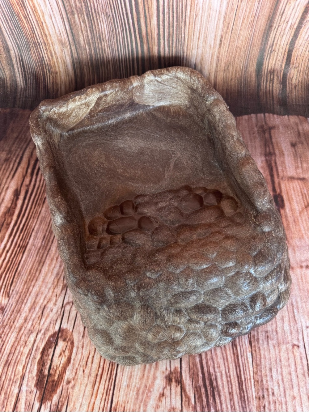 Terrassic Terrarium Décor, Ramp Bowl, Extra Large - Picture 2 of 8